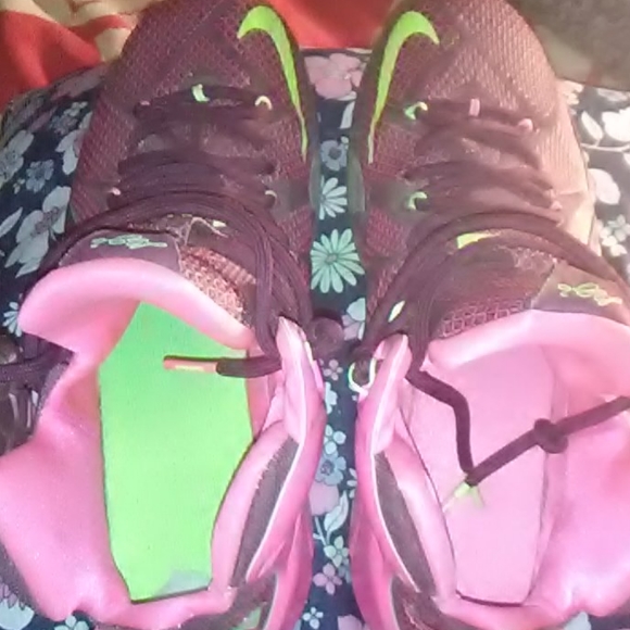 Lebrons - Picture 4 of 5